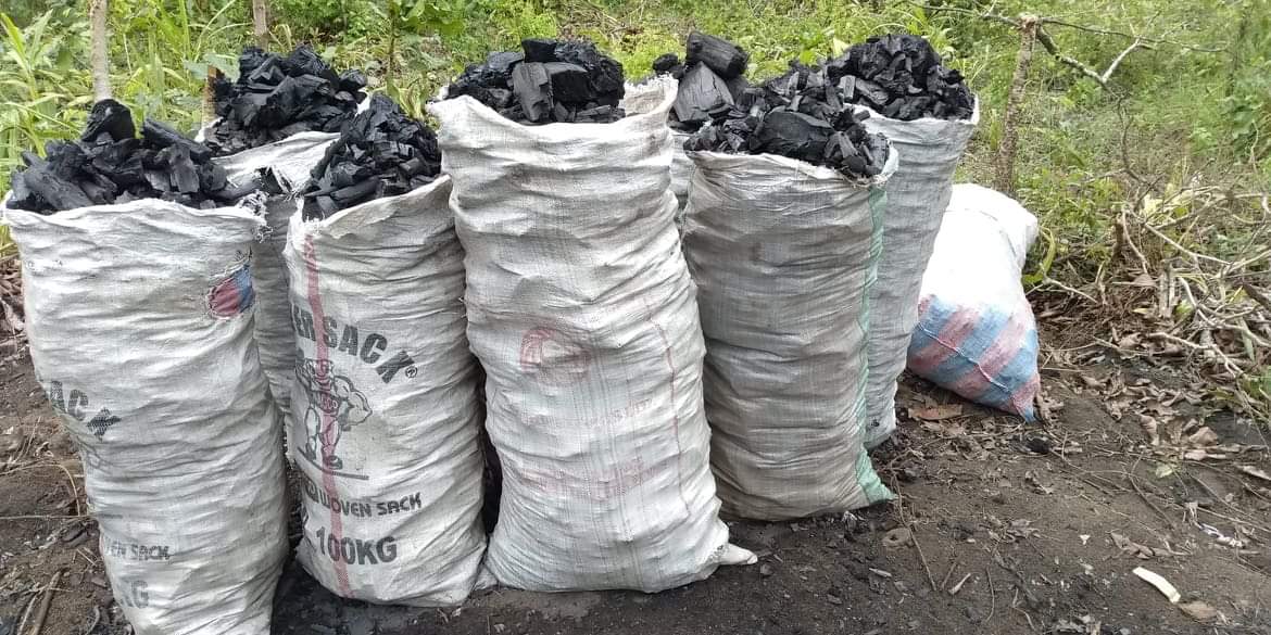 Le commerce des braises : un nouveau souffle